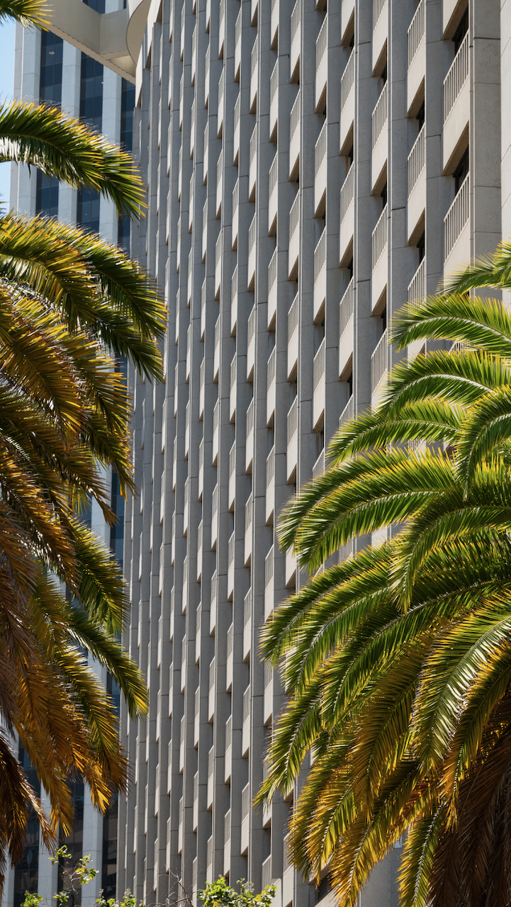 The Hyatt Regency