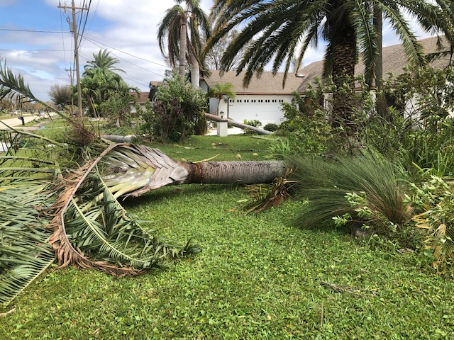 front yard