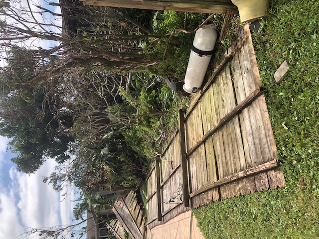 east side of house