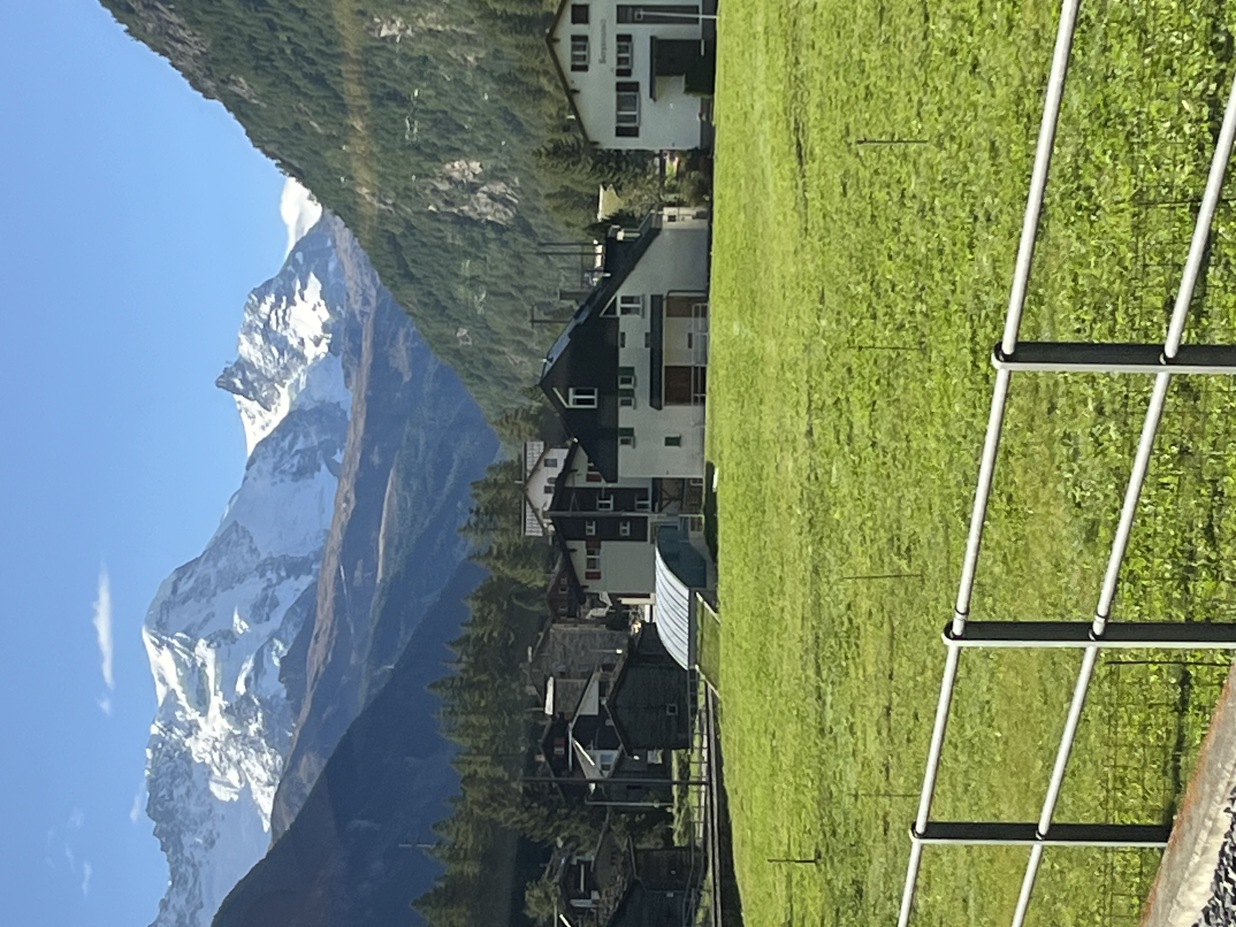 IMG_7530.jpeg