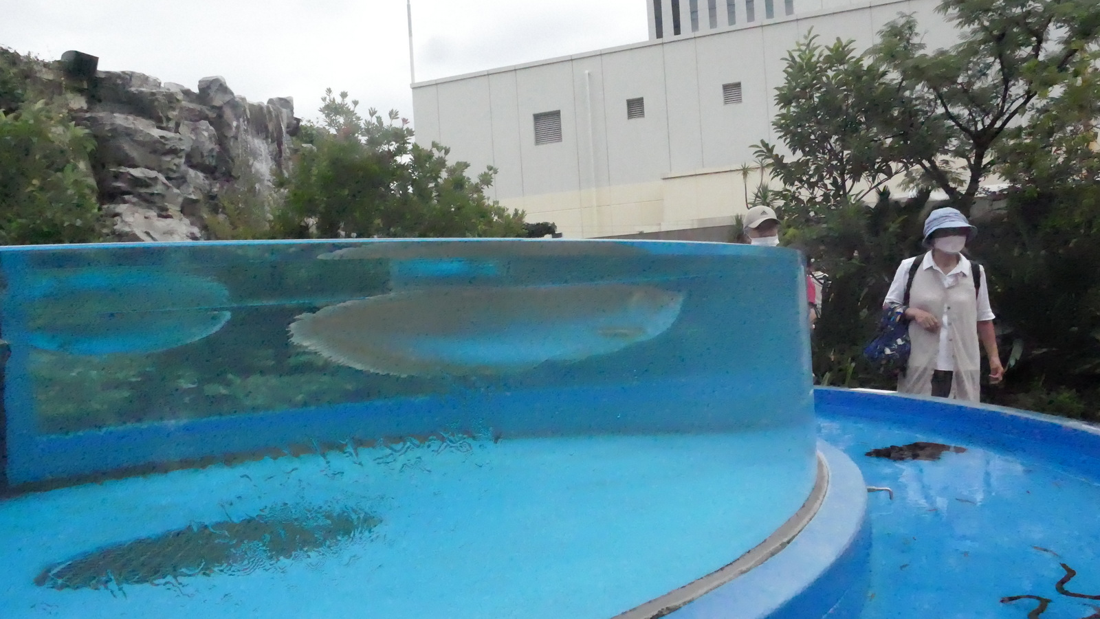 P1110613_resize.JPG