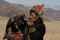 fox hunting in altai