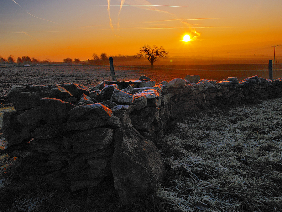 Dawn 2