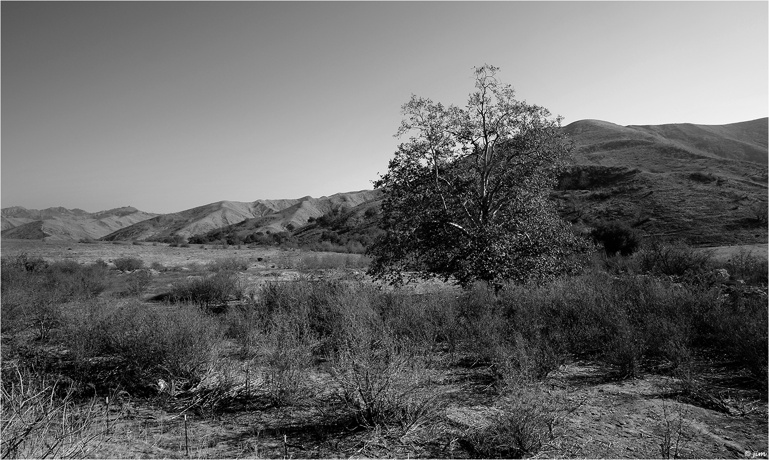 Back Side of Ventura