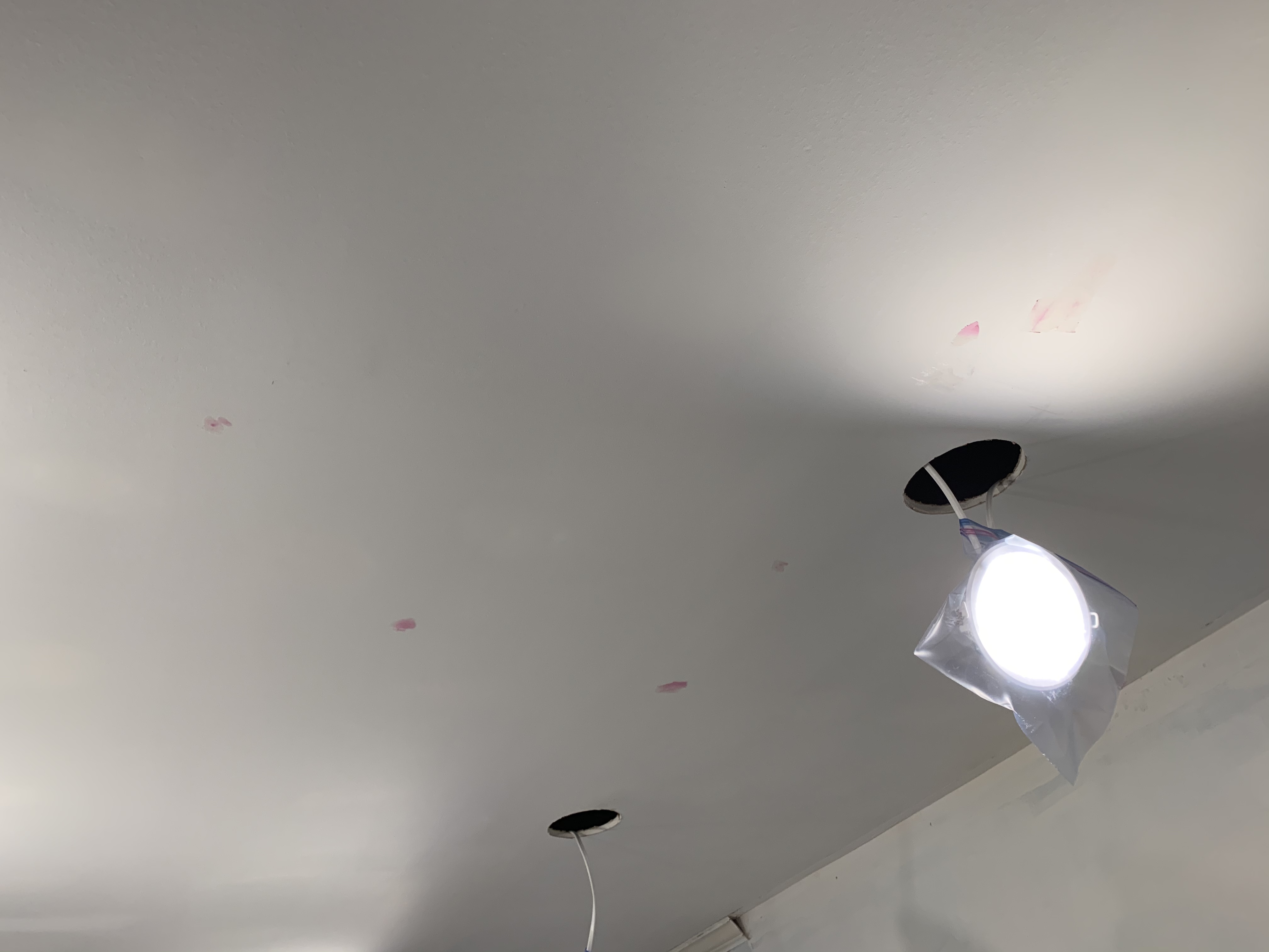 C8226805-18B5-4C0E-ABC4-3A4832477B99.jpeg