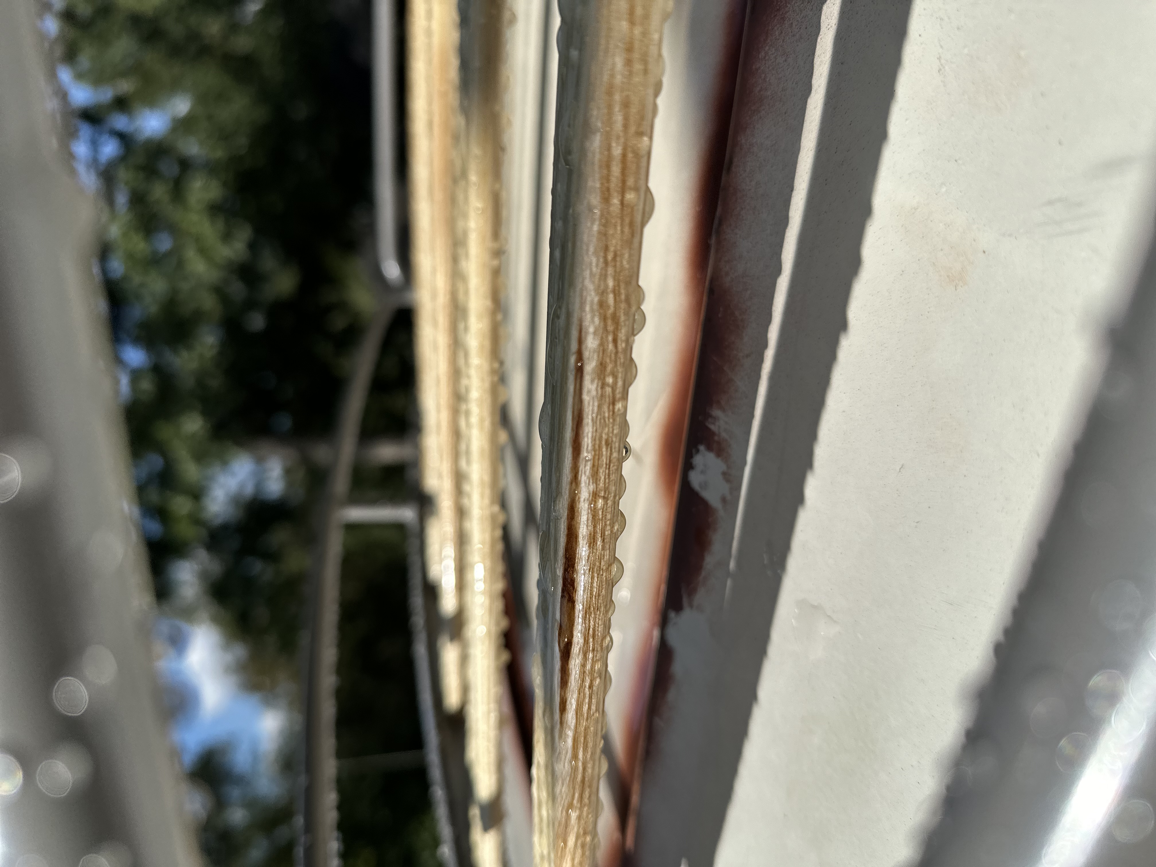 IMG_5168.jpeg