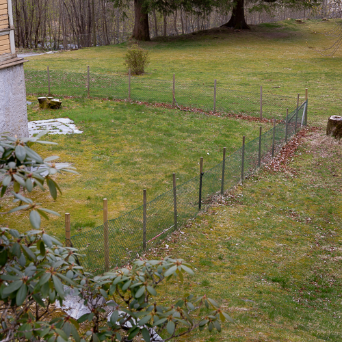 Dale-slottet_IMGL0711.JPG