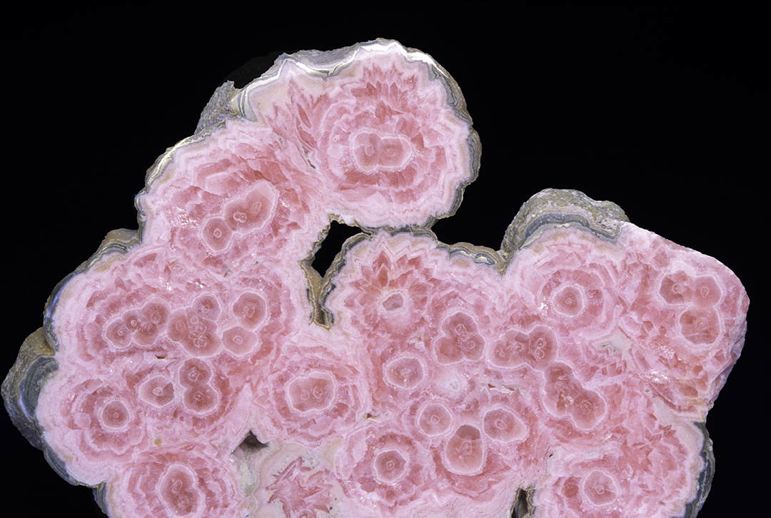 Rhodochrosite stalactites cross-section, Catamarca, Argentina