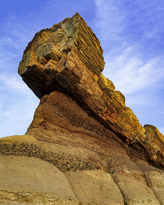 Petrified wood pedestal rock, Petrified Forest National Park, AZ