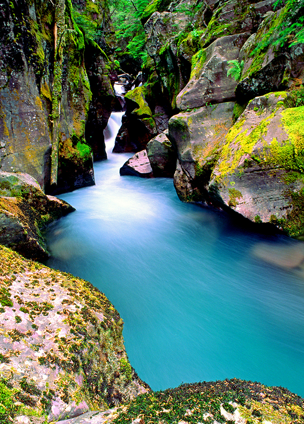 Avalanche Creek Gorge, Glacier National Park, MT