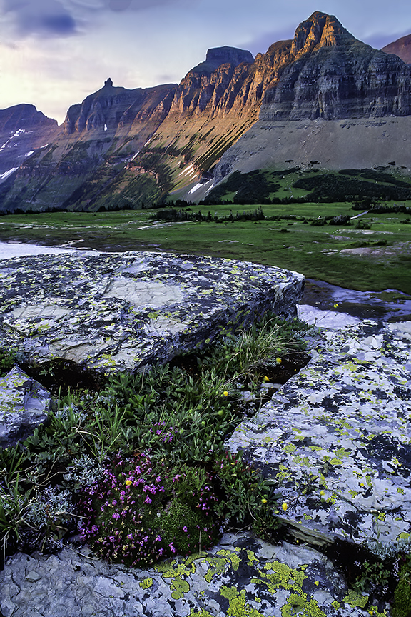 Logan Pass, Glacier National Park, MT