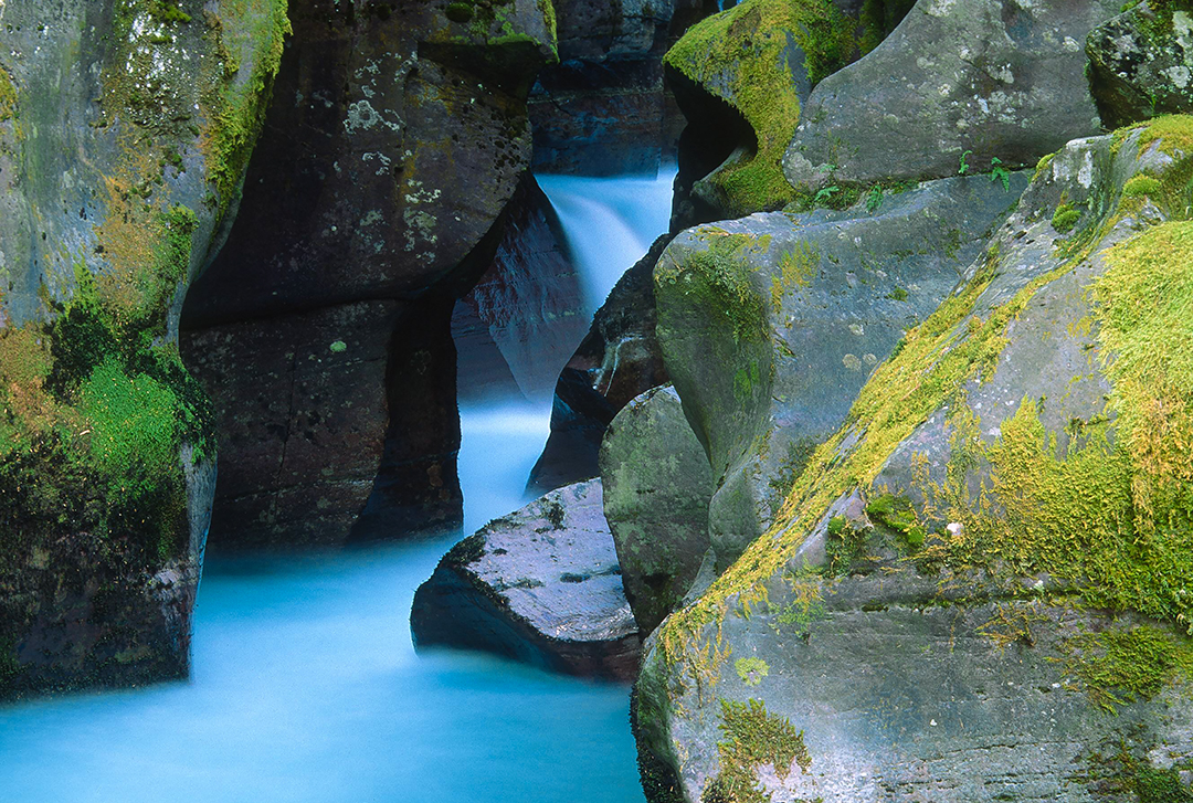 Avalanche Creek Gorge, Glacier National Park, MT
