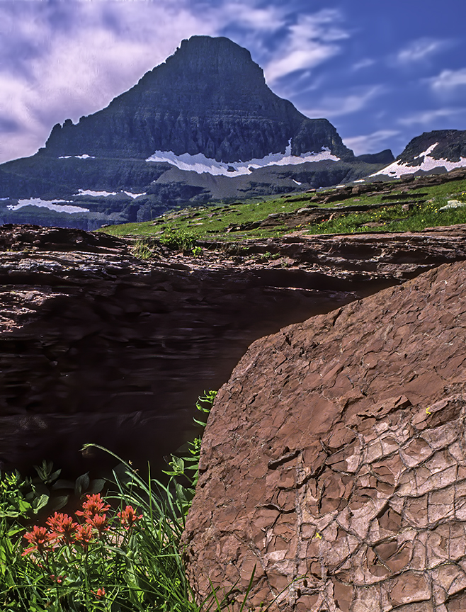 Mudcracks at Logan Pass, Glacier National Park, MT