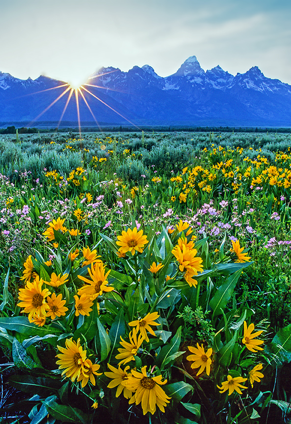 Antelope Flats, Grand Teton National Park, WY