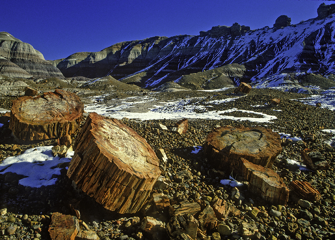 Below Blue Mesa, Petrified Forest National Park, AZ