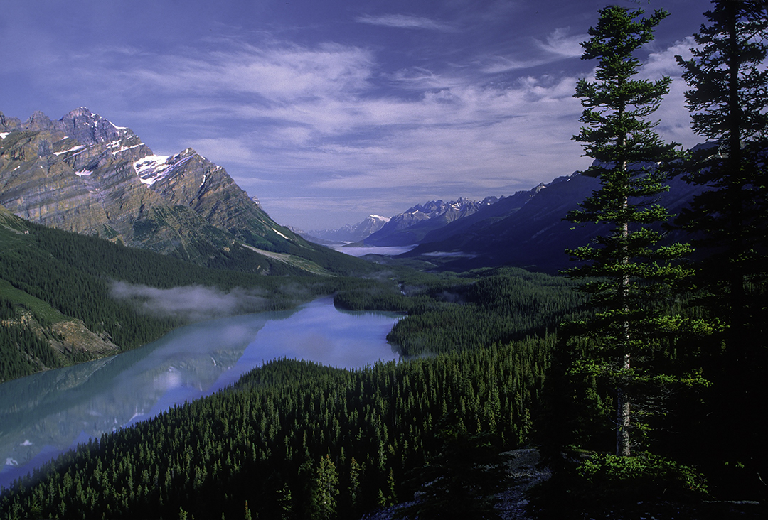  Peyto Lake and Mistaya Mountain, Banff National Park, Alberta, Canada