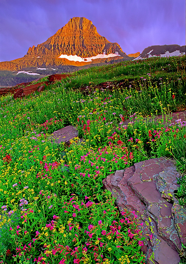  Reynolds Peak, Glacier National Park, MT