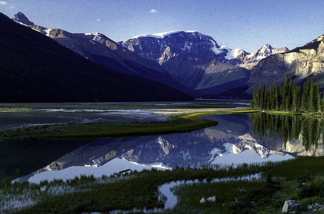  Athabasca River, Jasper National Park, Alberta, Canada