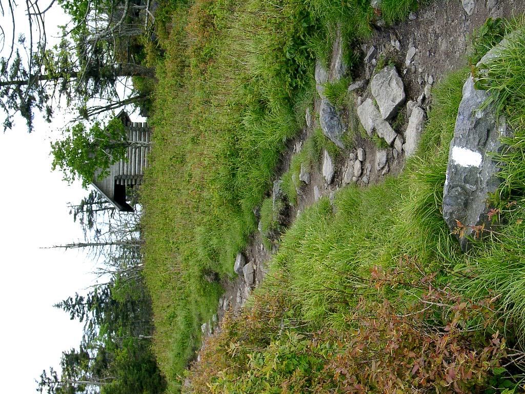 Heading Northbound on the AT towards Thomas Knob Shelter. A 2 story shelter with a solar privy! Life is good.