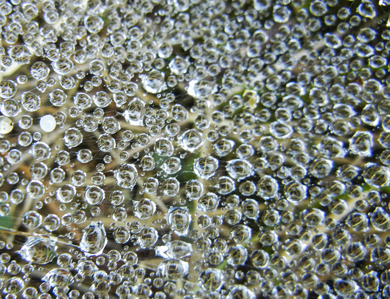 a thousand lenses 356