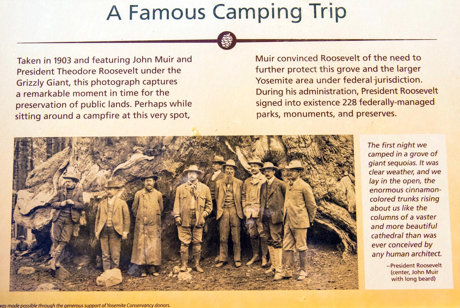 President Roosevelt Visits the Grizzly Giant