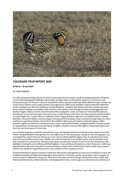 This picture and many others were published in this trip report: