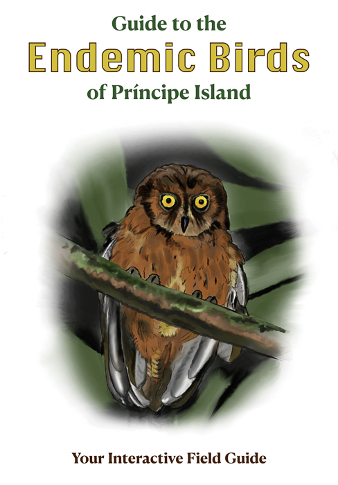 These pictures are published in this guide: