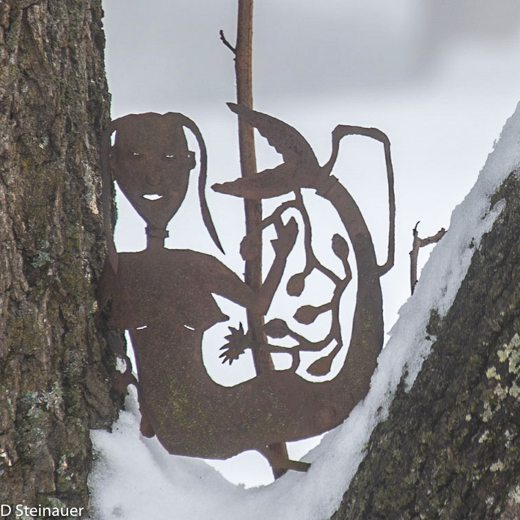 ds20190221-0071 acac.jpg