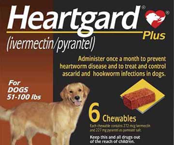 https://www.questionsaboutdogs.com/what-is-the-best-flea-tick-and-heartworm-medicine-for-dogs/