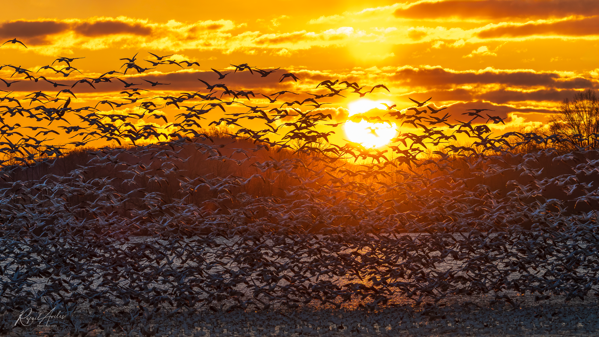 Flying at sunrise