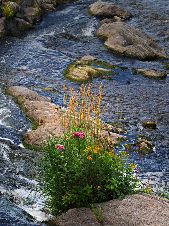 Gte Moulin Banal Ste-Luce-Sur-Mer