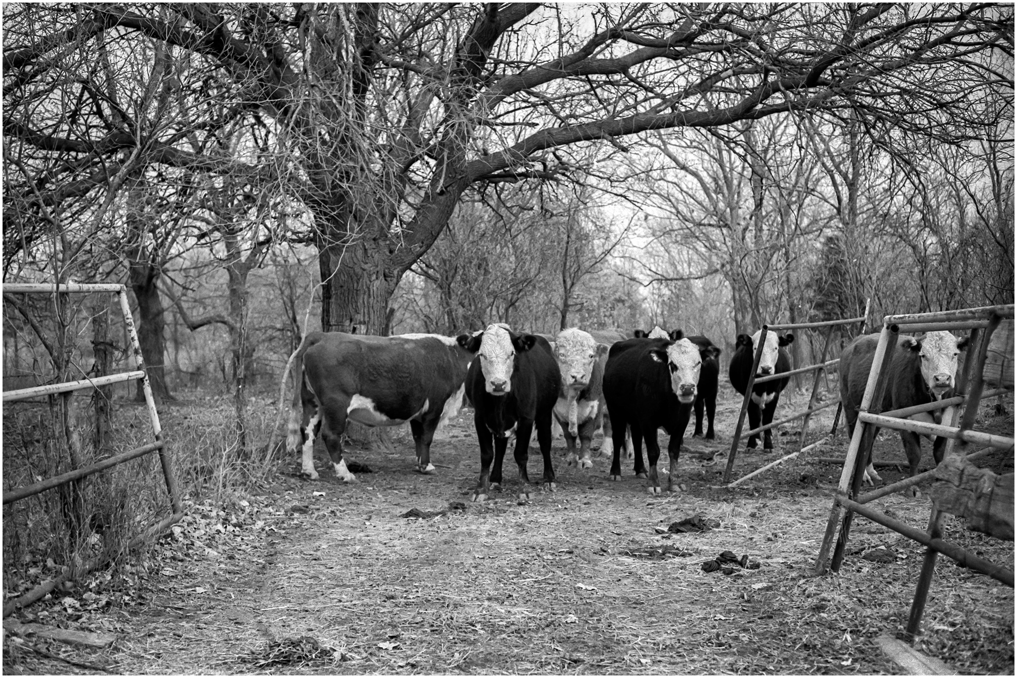 Gate Keepers