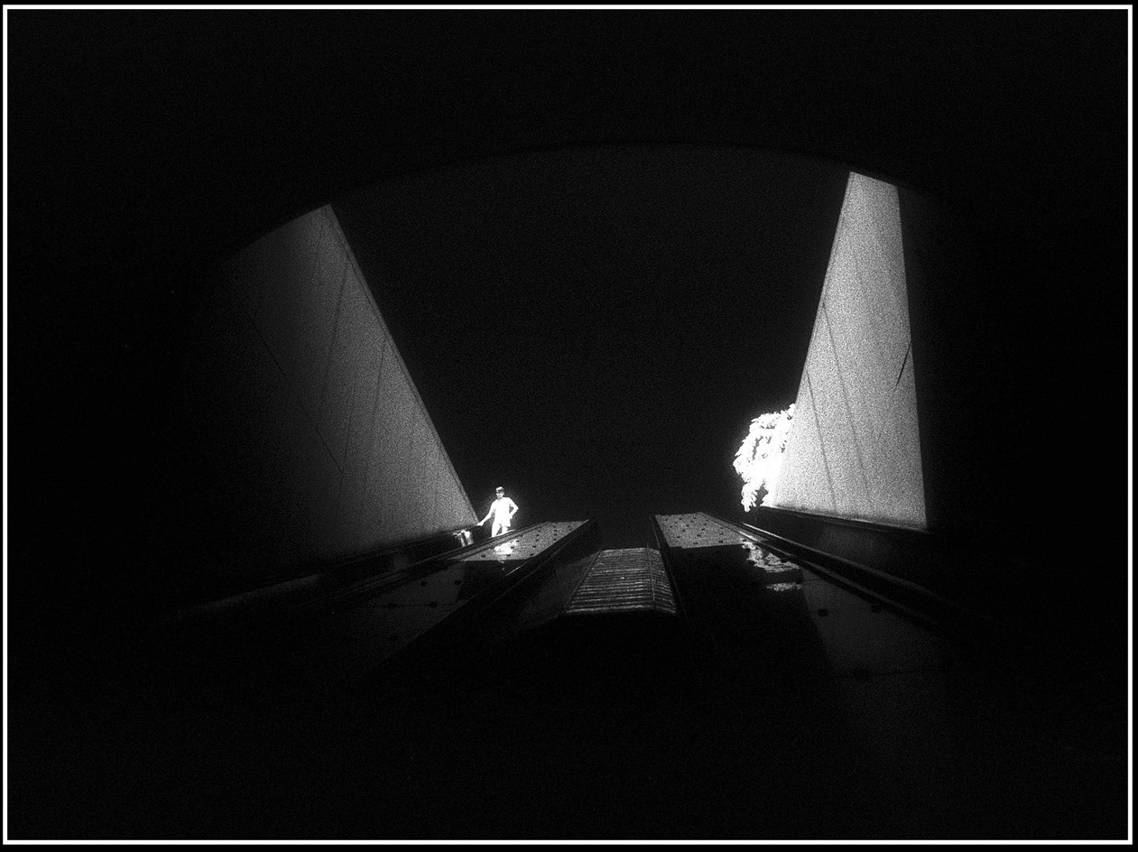 Into the Dark