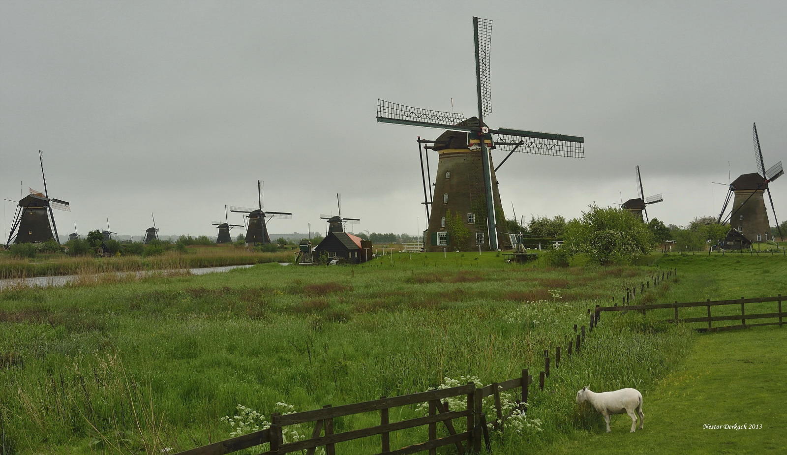 Netherlands   -   Kinderdijk