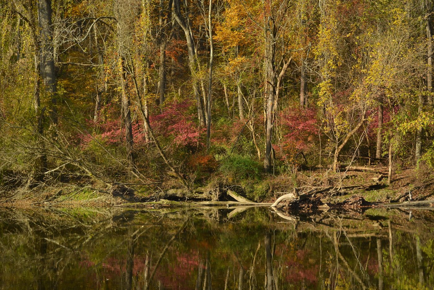 BRANDYWINE CREEK STATE PARK
