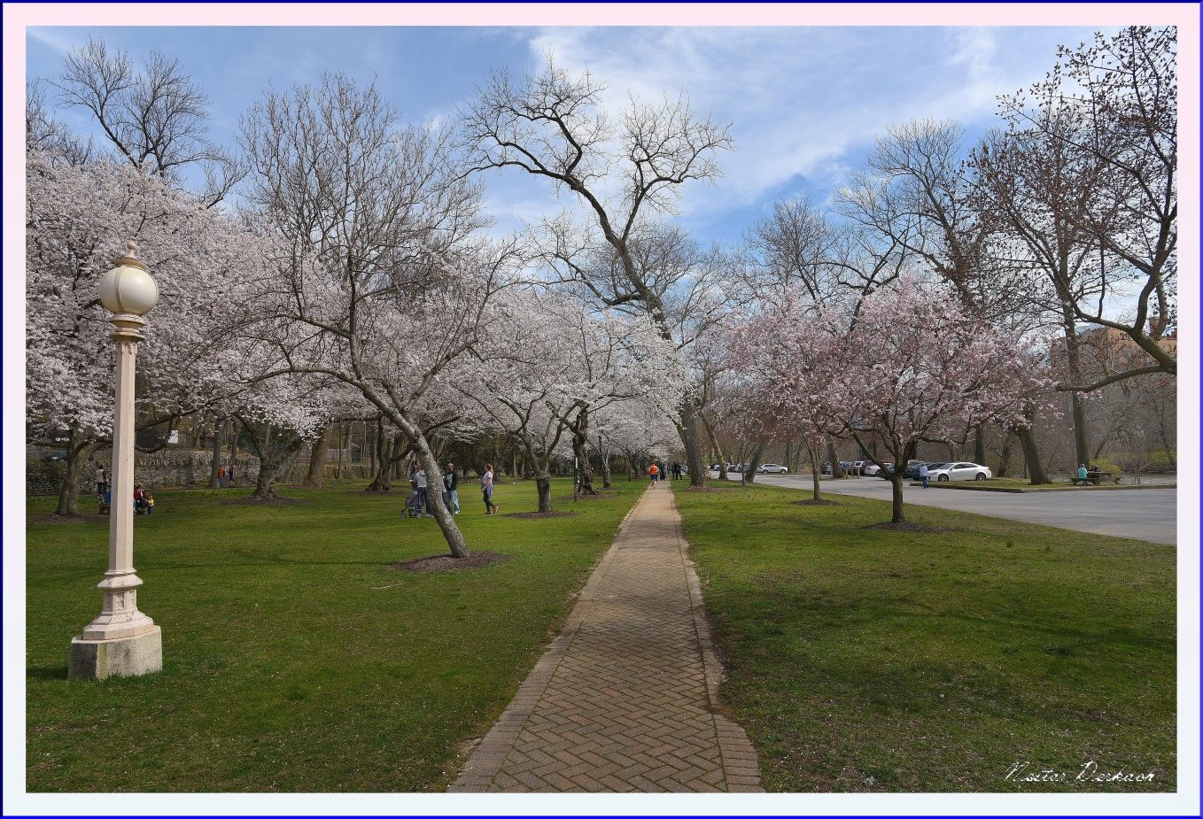 Brandywine Park 