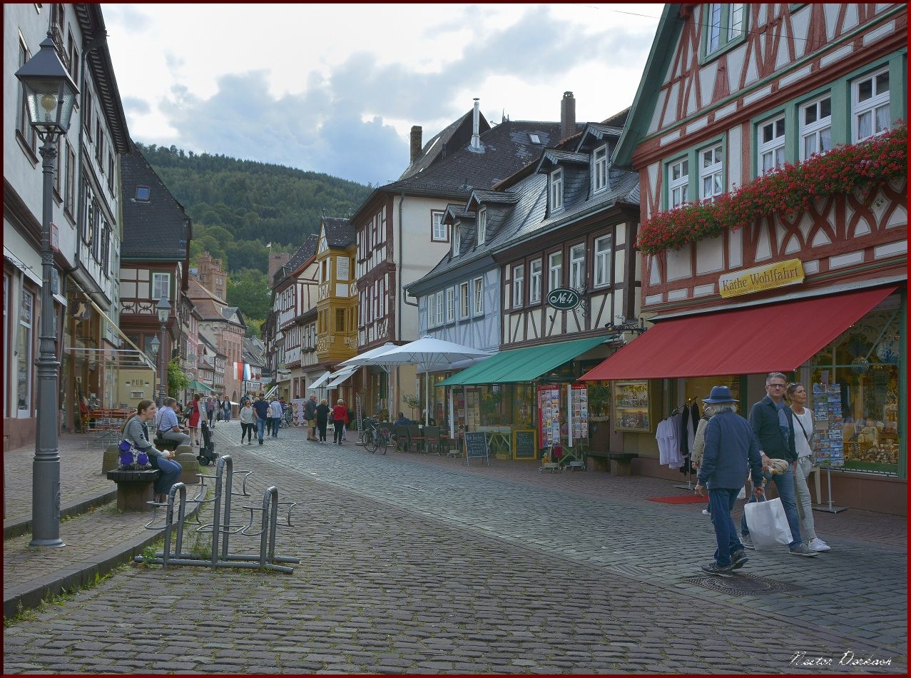  Miltenberg Germany 