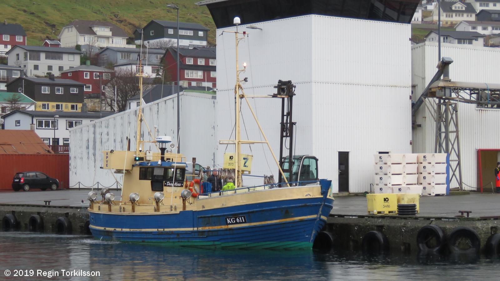 Daisy Maria KG 611
