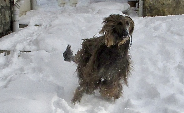run run run