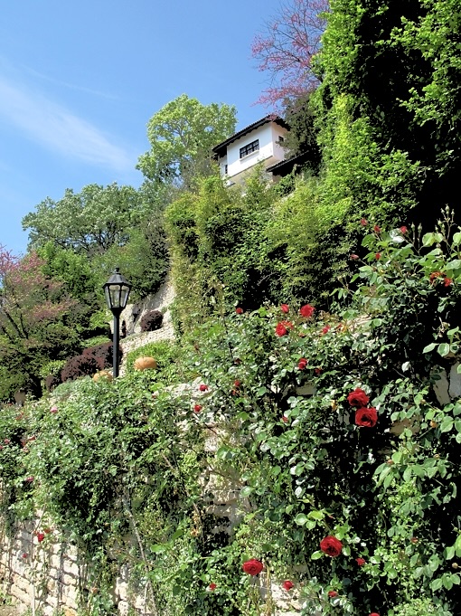 very well maintained gardens