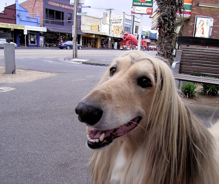 I enjoy our walks