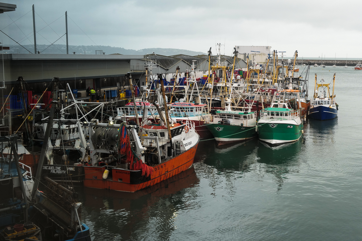 Part of the Brixham Fishing Fleet