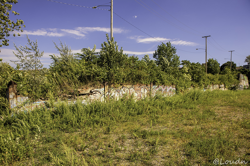 Cuyahoga Riverbed 