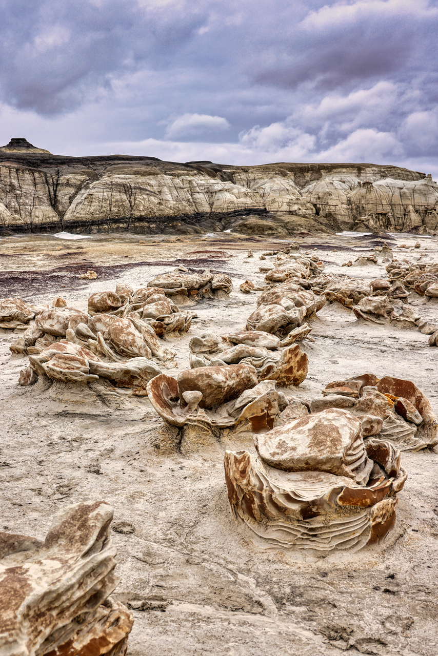 Bisti Egg Hatchery