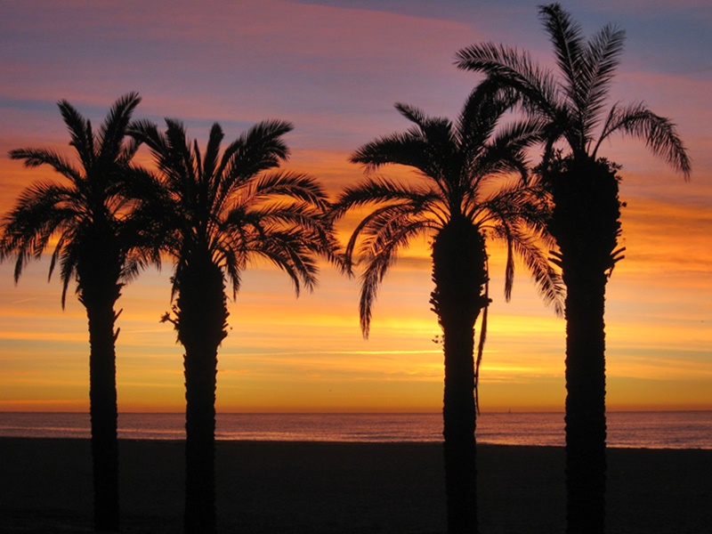 Platja de Santa Susanna