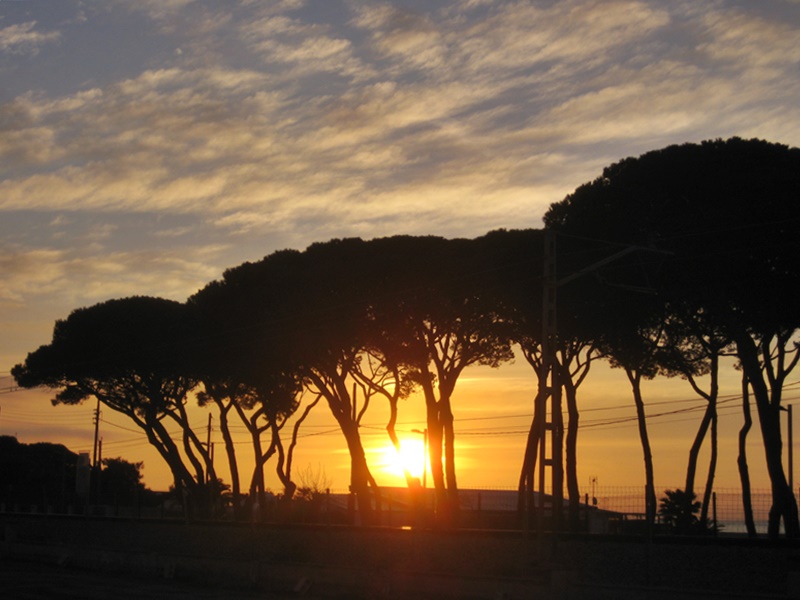Passeig Martim (Sea front promenade)