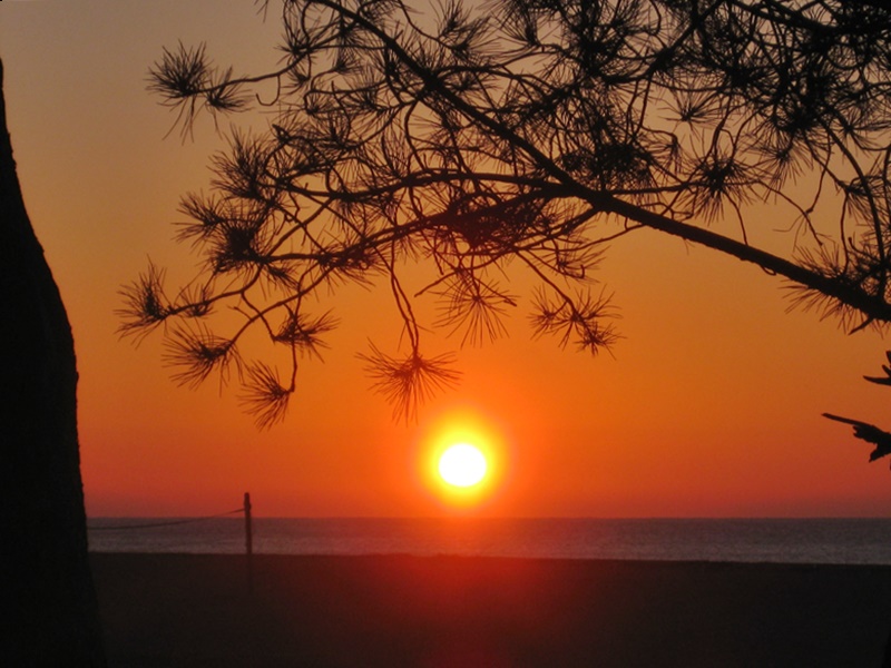 Malgrat de Mar