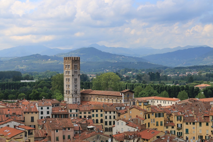 Lucca. View from Torre Guinigi
