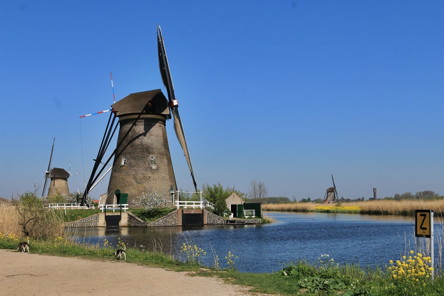 Kinderdijk Windmills