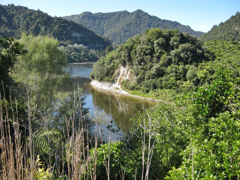 Whanganui River